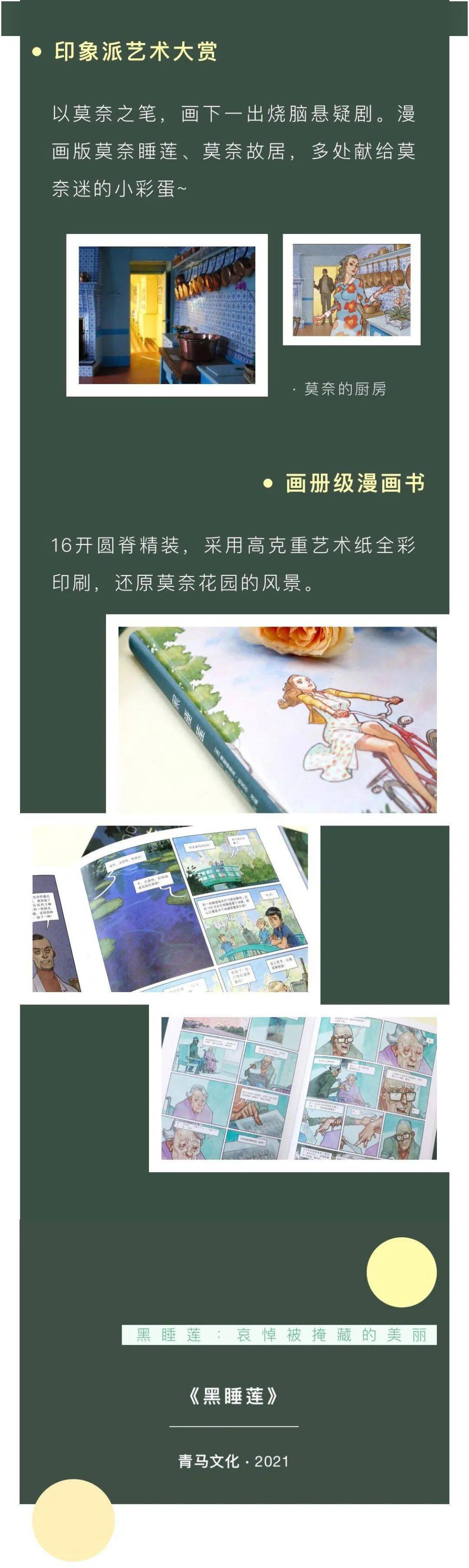 动画|《黑睡莲》，一部印象主义的高品悬疑漫画