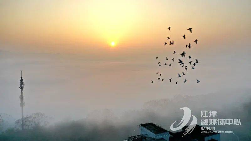 清晨，500米高空俯瞰江津，美如仙境！