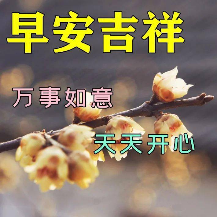3月15日早上好祝福语图片大全问候动态表情图片大全