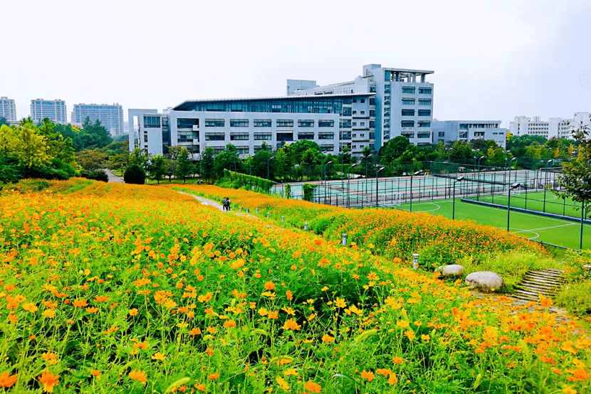 诚聘英才2022年浙江师范大学外国语学院专任教师招聘公告