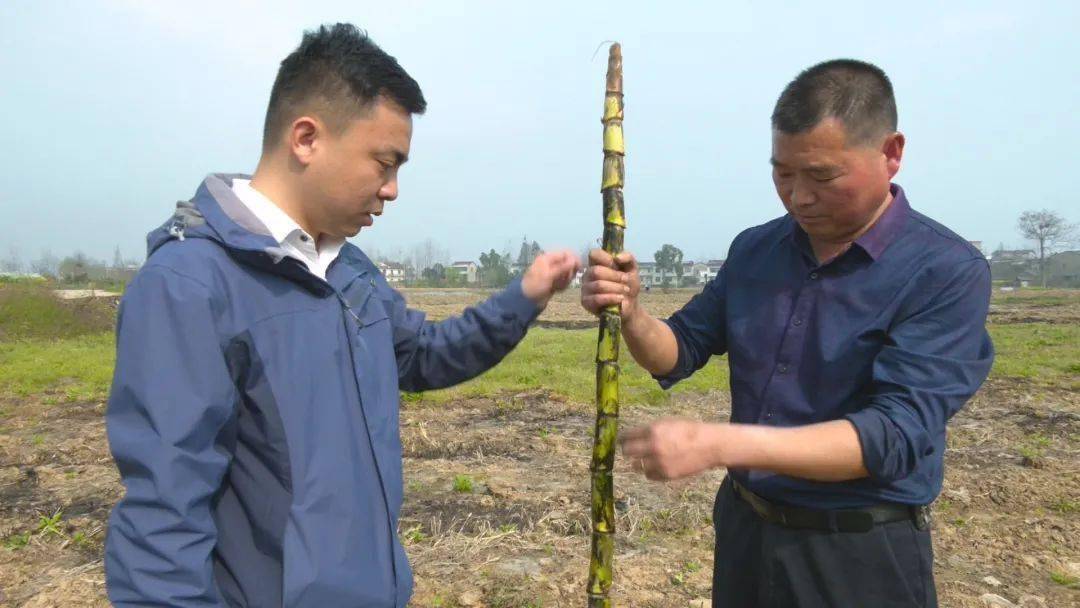 打来电话的人是赤东镇党委书记朱文刚.