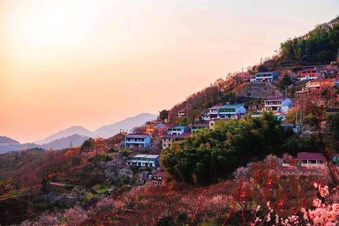 這座被櫻桃花包圍的懸崖小山村,美翻了_巖村_四明山_江南遊