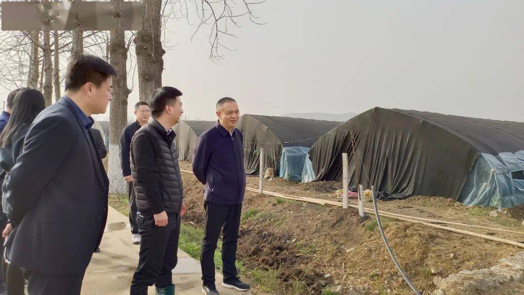 3月15日下午,区委书记朱卫东前往符离镇,夹沟镇调研农业农村工作并