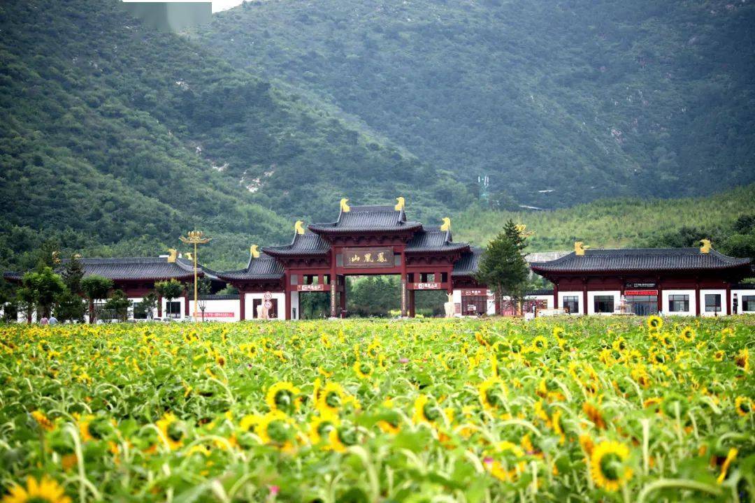 好看又好玩的遷西鳳凰山等你來打卡~_唐山_文化_讀者