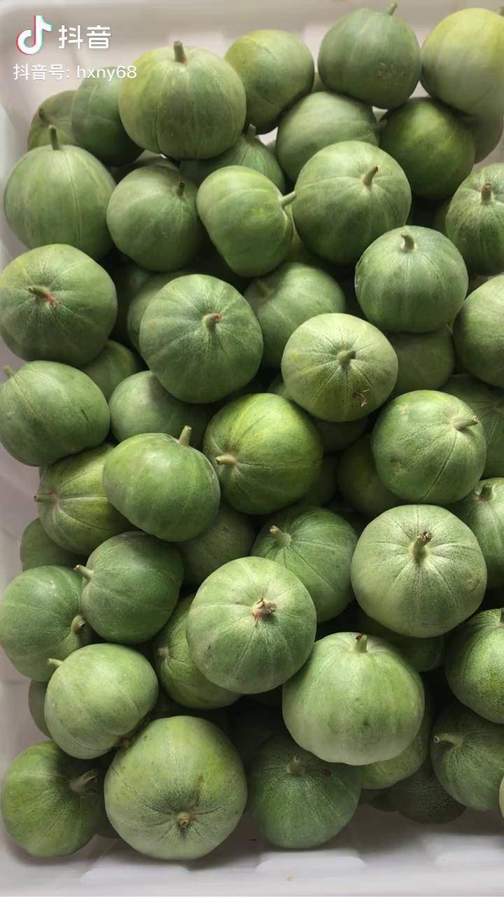 今天刚刚采摘的绿宝石甜瓜糖度达到了18度零激素膨大剂口感更香甜清脆