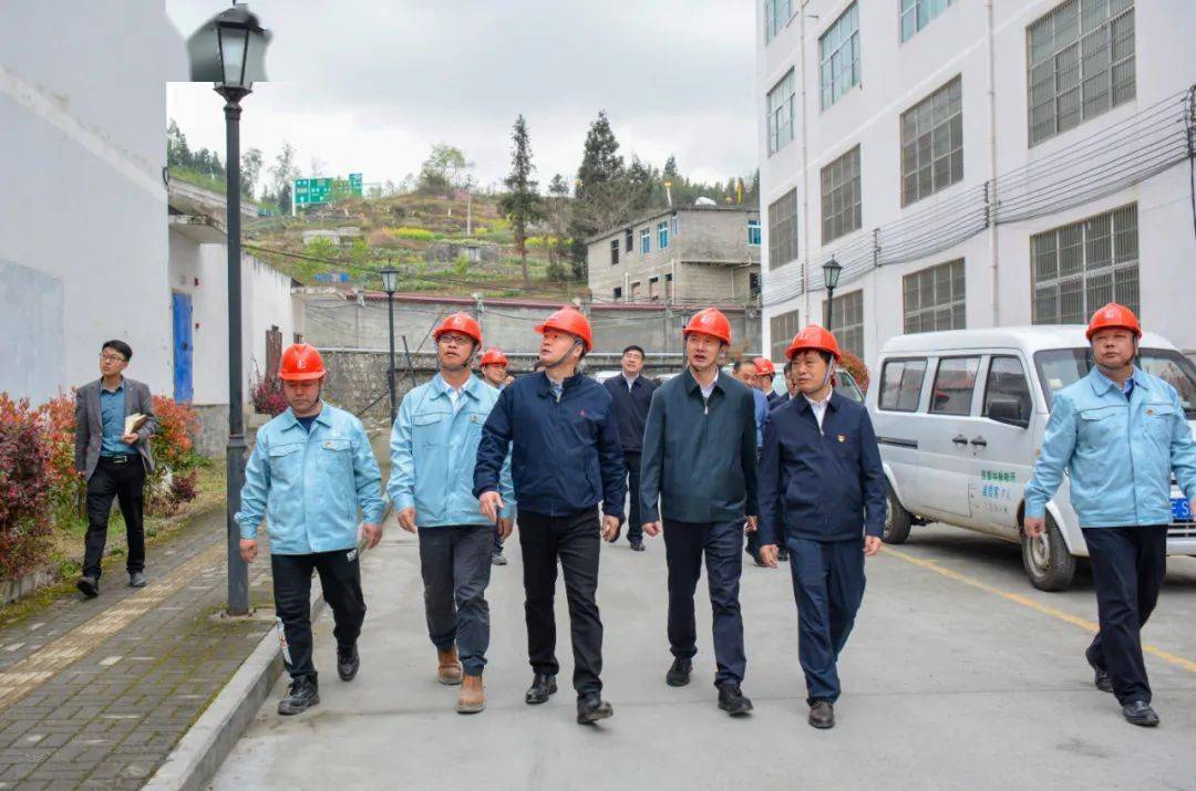 杨栋到我县调研中石化织金50万吨年pga项目建设