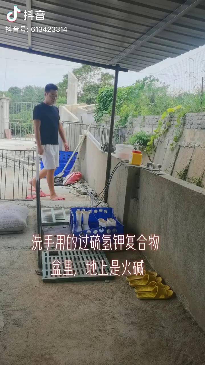 昨天拍饲料进厂消毒今天分享人员进厂消毒程序希望可以帮到新手同时也