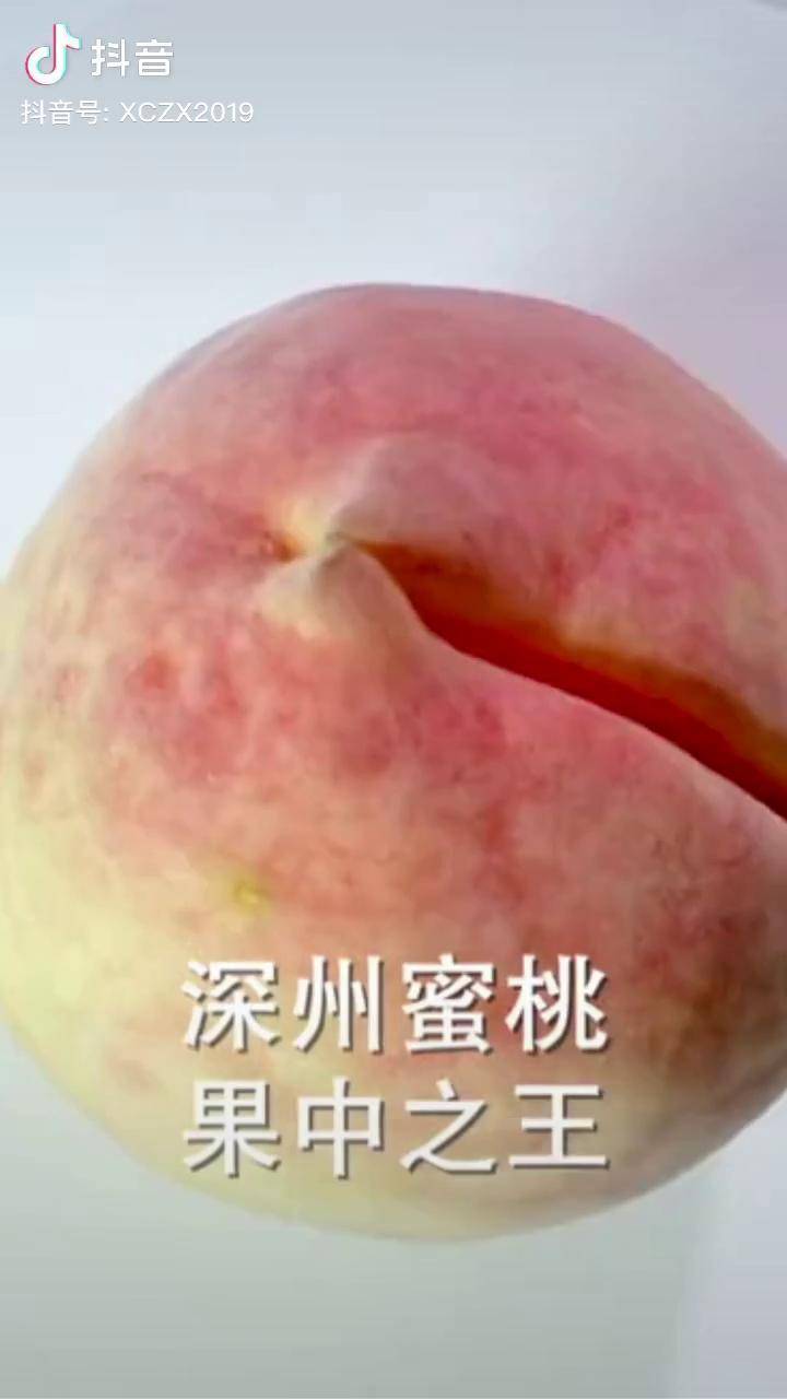 深州蜜桃,果中之王河北农品 河北农业品牌