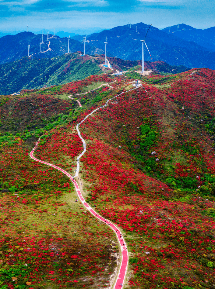 牙梳山,位于江西省广昌县塘坊镇池源村,南邻江西省石城县,东邻福建省