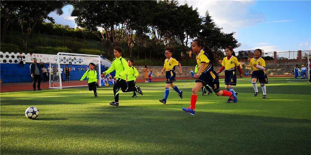 教体访谈第3期|下关二小:一所城区小学的美丽蜕变_大理市_学前教育