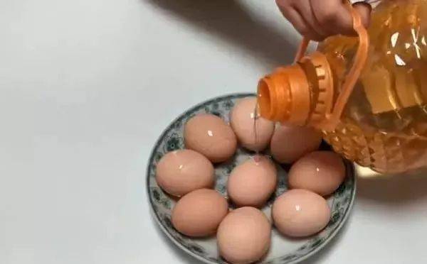 鸡蛋上涂抹一层食用油,效果太厉害了,每家每户都需要!_冰箱_妙招_时间