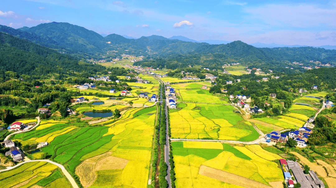 沙田乡提到宁乡赏油菜花的地方,自然不会遗