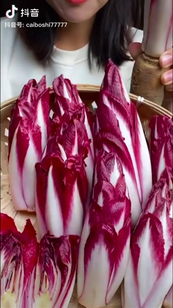 紫玉兰蔬菜家庭种植抖音助农