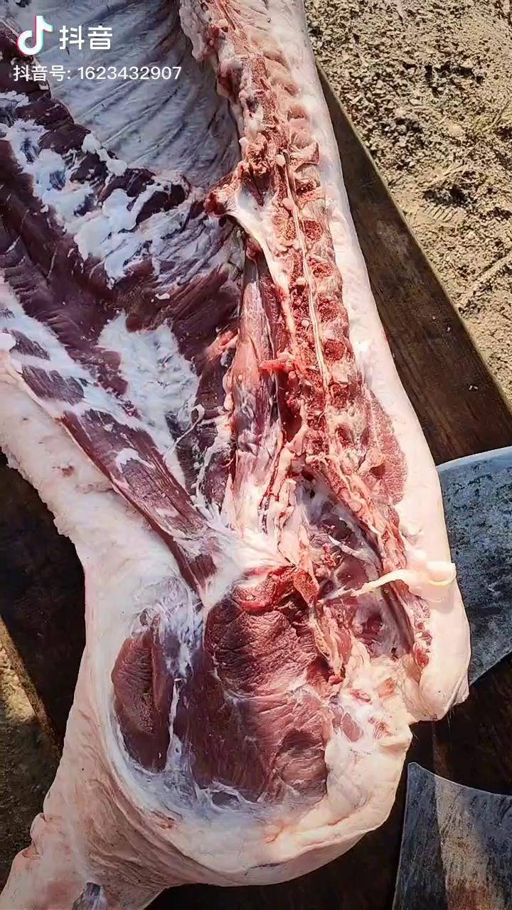 大别山金寨生态黑毛猪肉舌尖上的美食小山村真材实料好不好顾客说的算