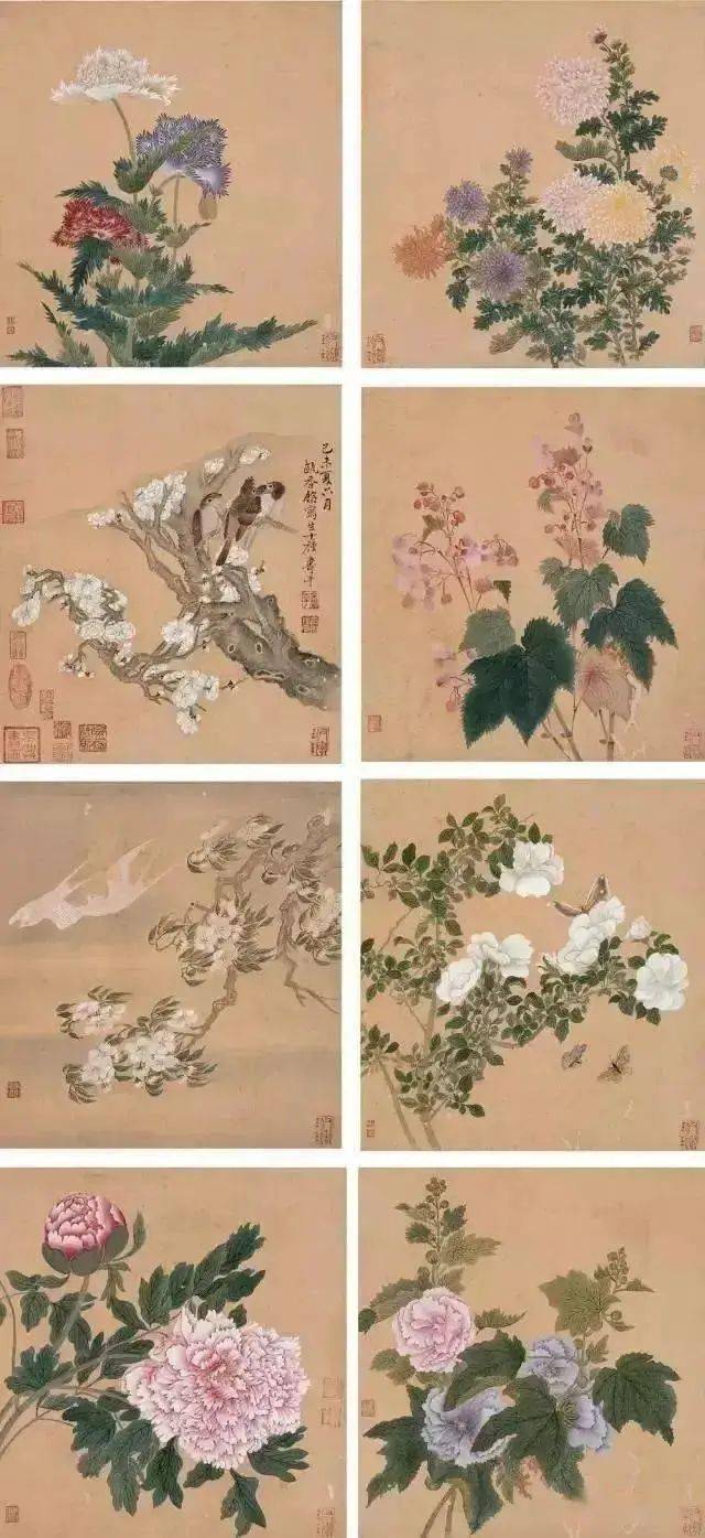 清代没骨花鸟画家图片