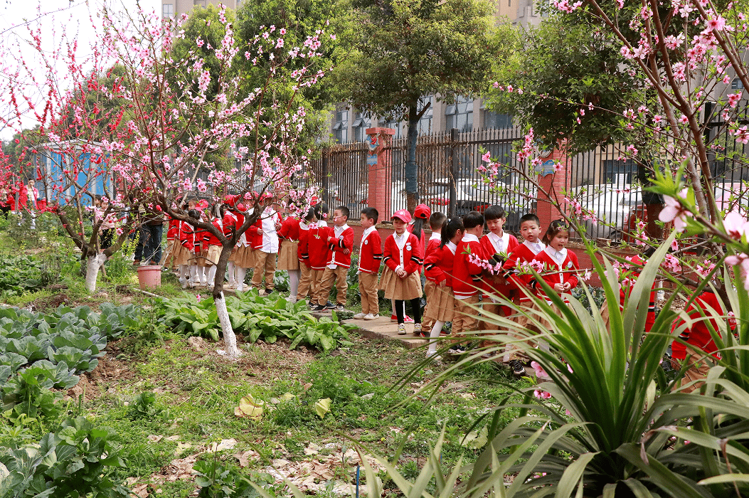 幼兒園_彭山_丹稜縣