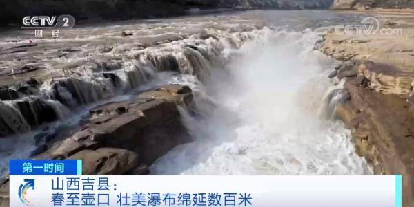 游客|山西吉县：春至壶口 壮美瀑布绵延数百米