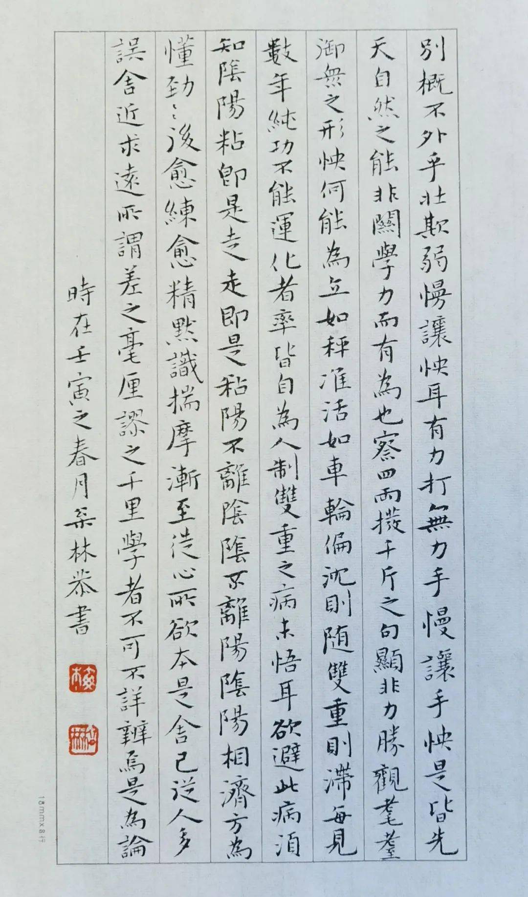 梅松林书法简介图片