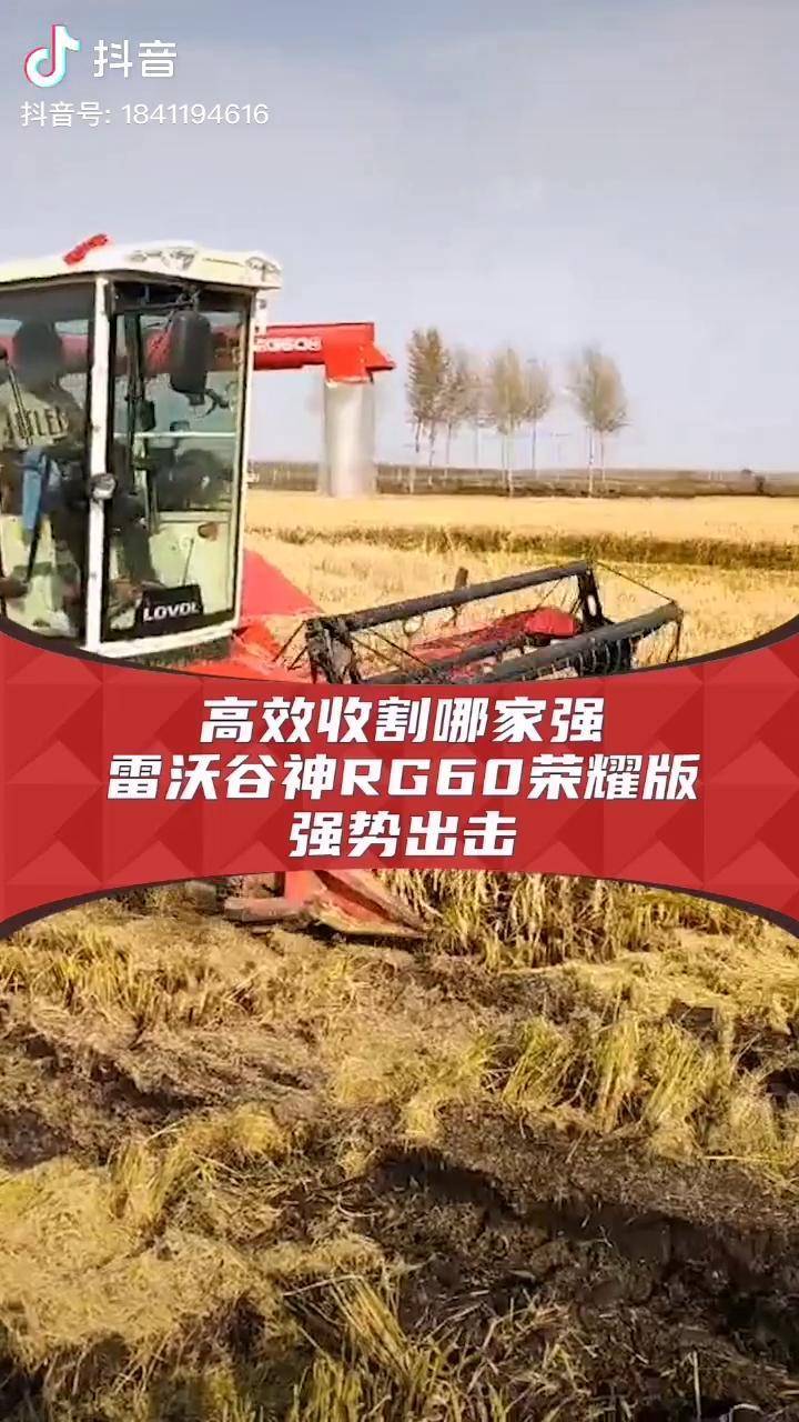 高效收割哪家强雷沃谷神rg60荣耀版强势出击农业农业机械