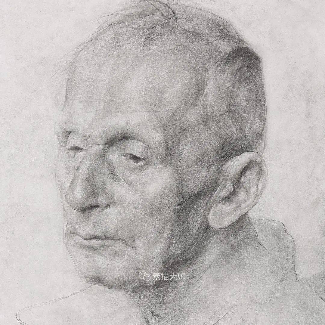 列宾美院人体与局部结构素描