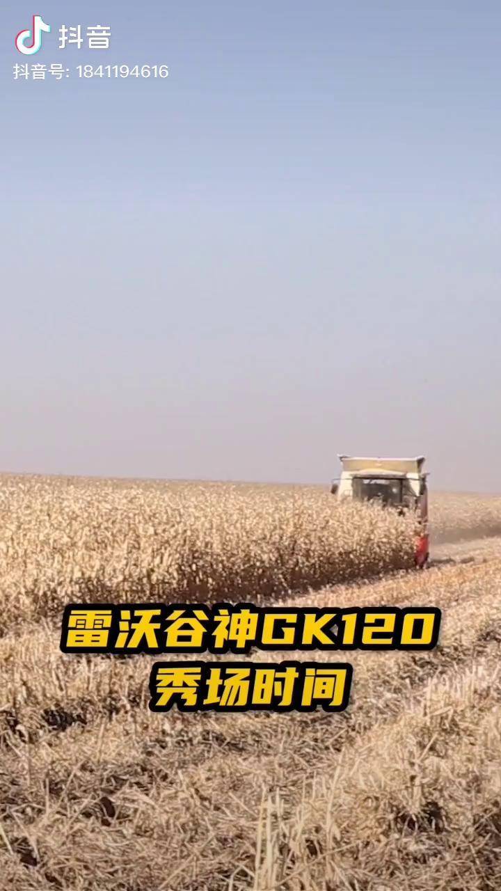 雷沃穀神gk120一機多用成熟典範農業農機農業種植收割機車