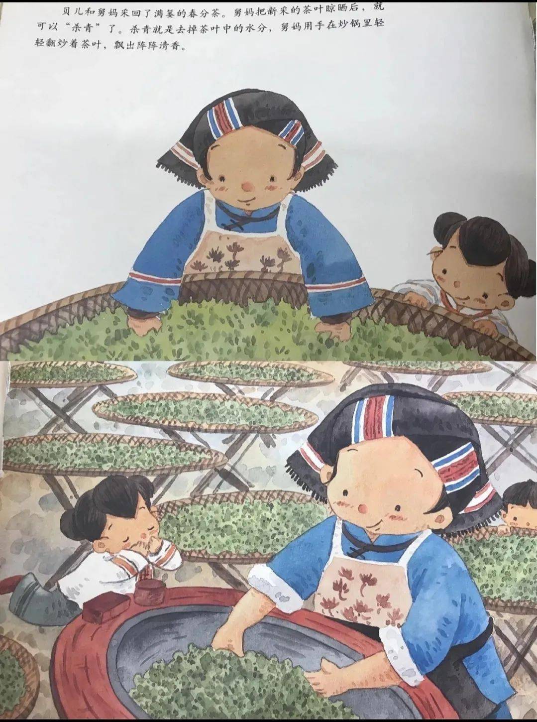 春分·采春茶|"奇想听书汇"第99期_故事_绘本_节日