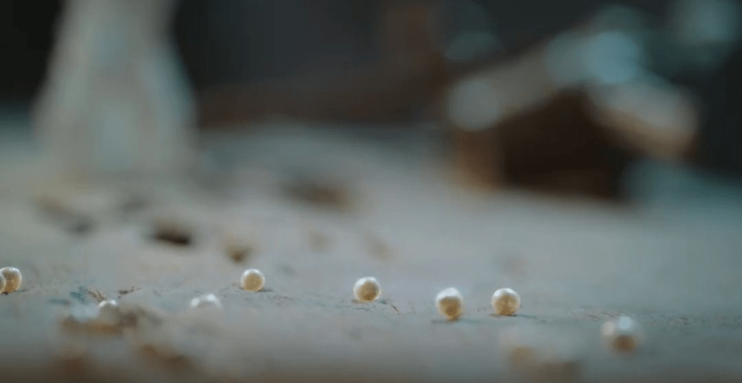 因为|心疼任嘉伦,不是剔骨就是割尾,还是流泪变珍珠的长意,比较可爱