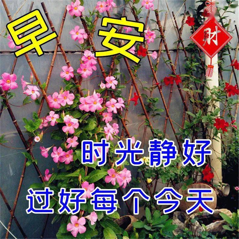 3月19日早上好祝福语图片大全问候动态表情图片大全