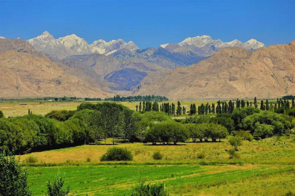 艾依提_新疆_地点_温宿县