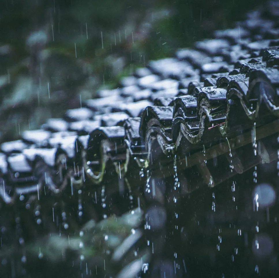 雨雨雨!诸暨天气要变……_气温_降水_雷雨