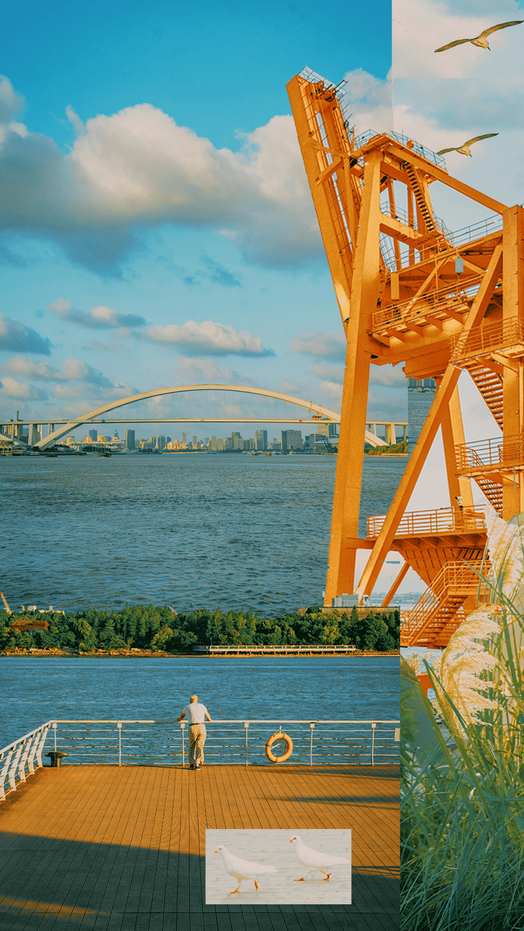 徐汇,我们疫情后约_永康路_looker_上海