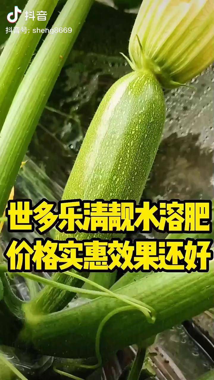 世多乐水溶肥世多乐根肥得世多乐溉稼世多乐耐普九世多乐全系产品