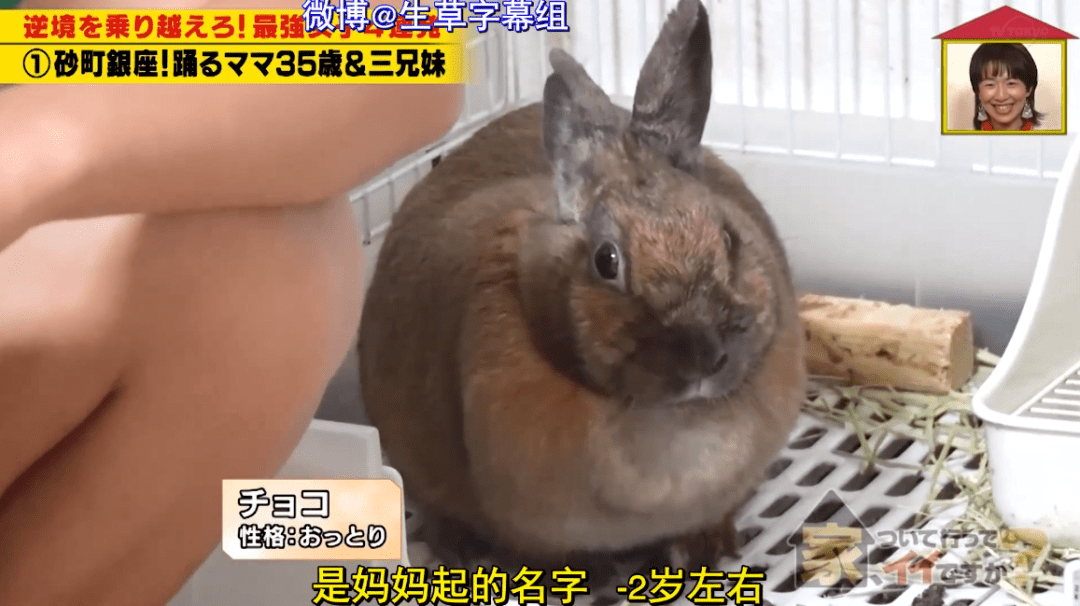 大哥|35岁单亲三胎妈妈，一家四口住在“垃圾堆里”，拥挤又凌乱，儿子说出的秘密直叫人泪崩！