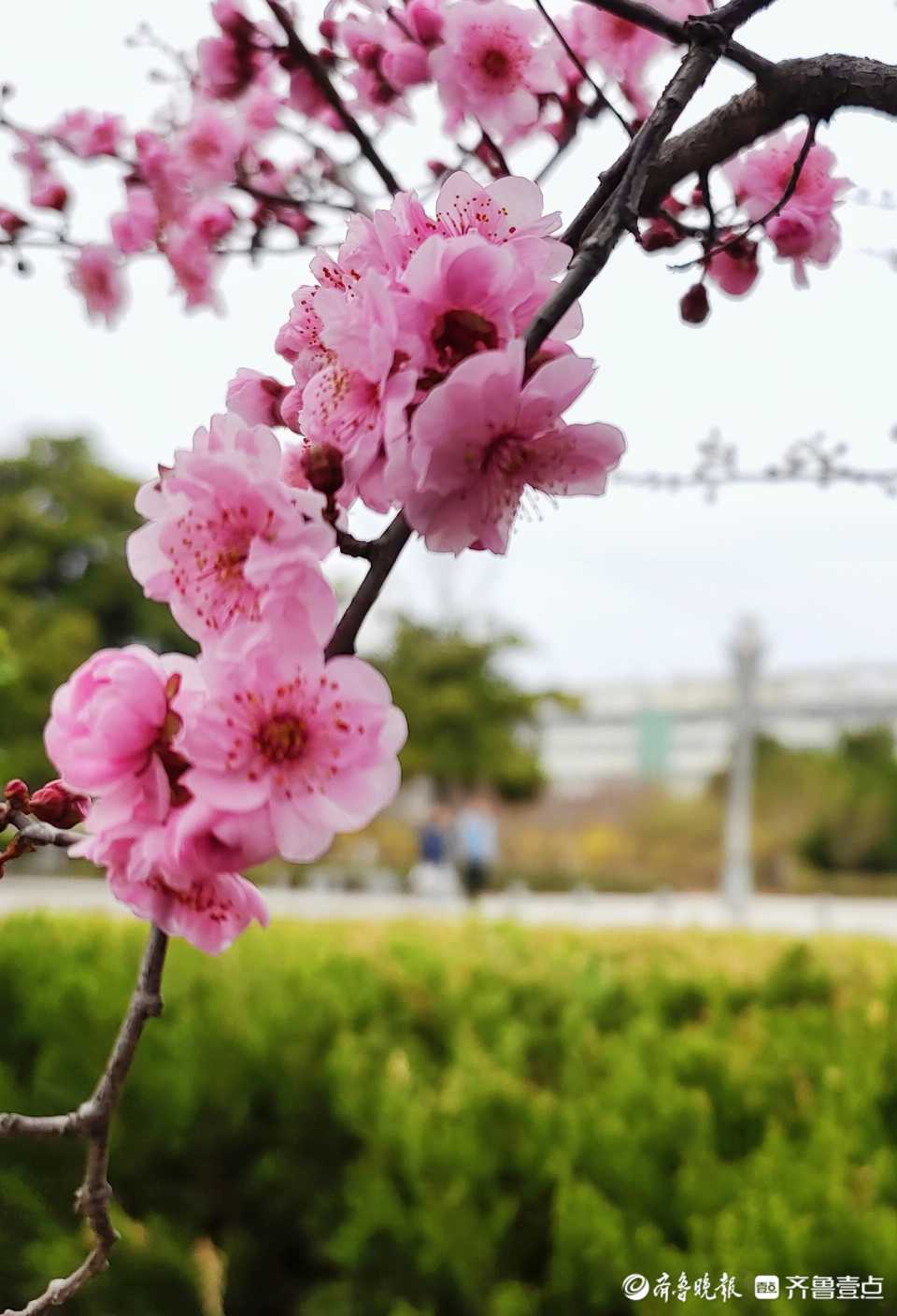 3月20日,情報員