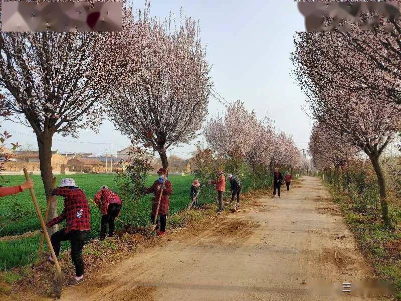 扶风县召公镇后董村努力建设生态花园村