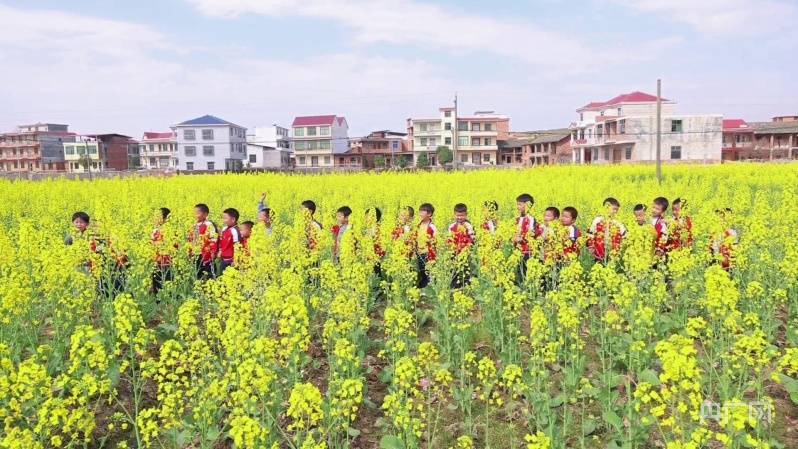 油菜花|湖南祁东“冬闲田”不闲 今春17个千亩花海成农旅网红打卡点