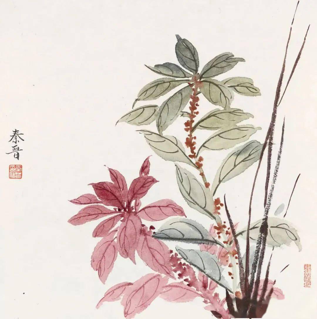 宋秦晋的没骨画花卉99幅清雅恬静如梦境般虚幻