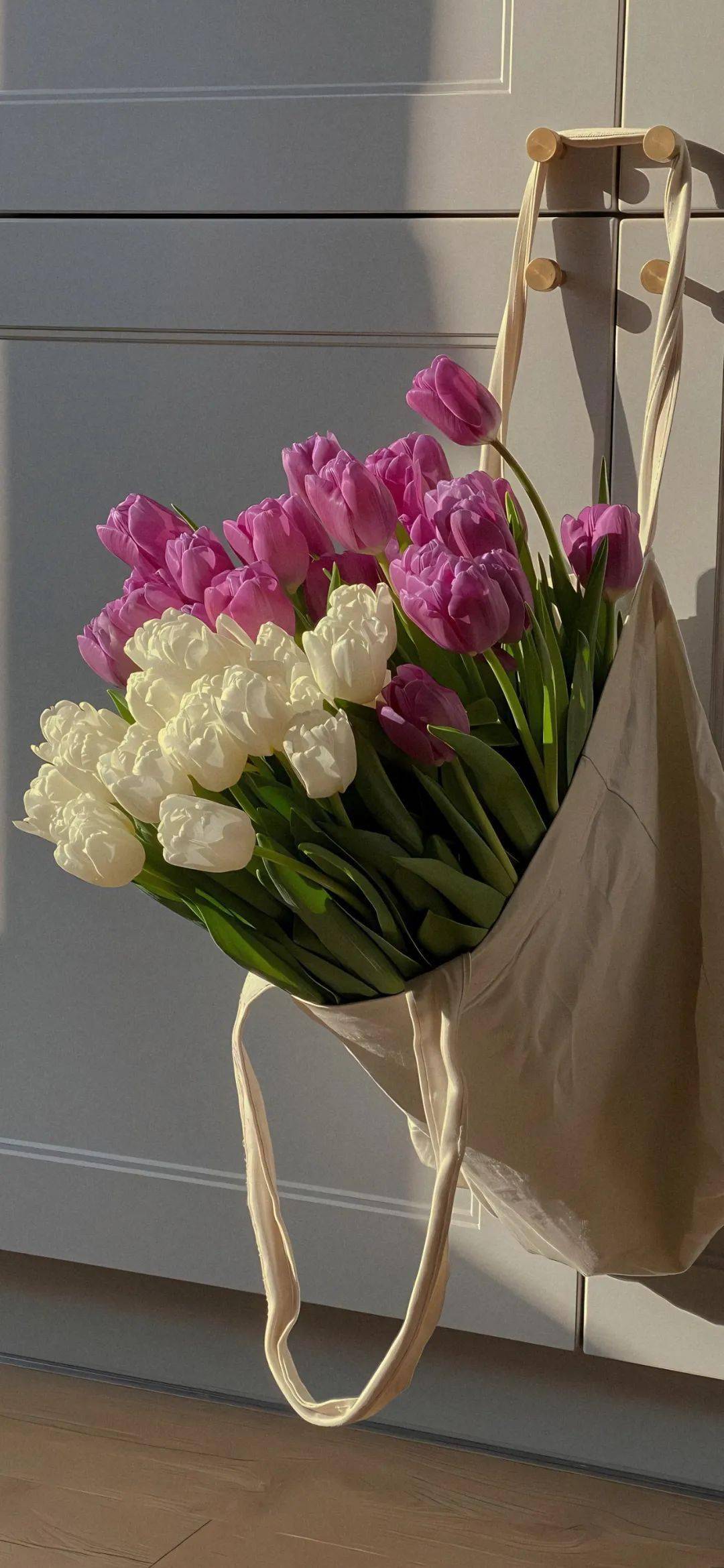 壁纸| 超级高质量的壁纸美图!_壁纸