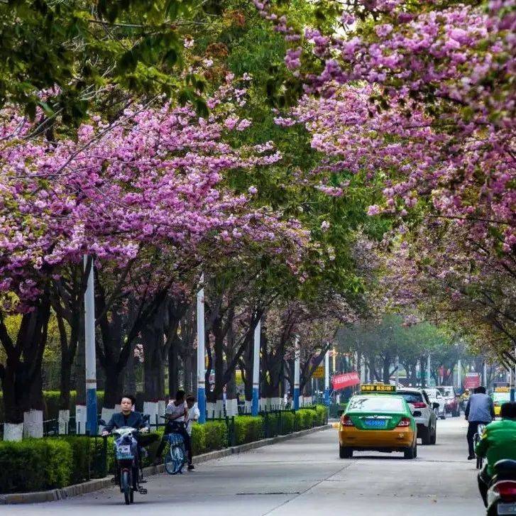 春回陈仓 云游宝鸡 静待我们的相逢~_文化_时光_景区