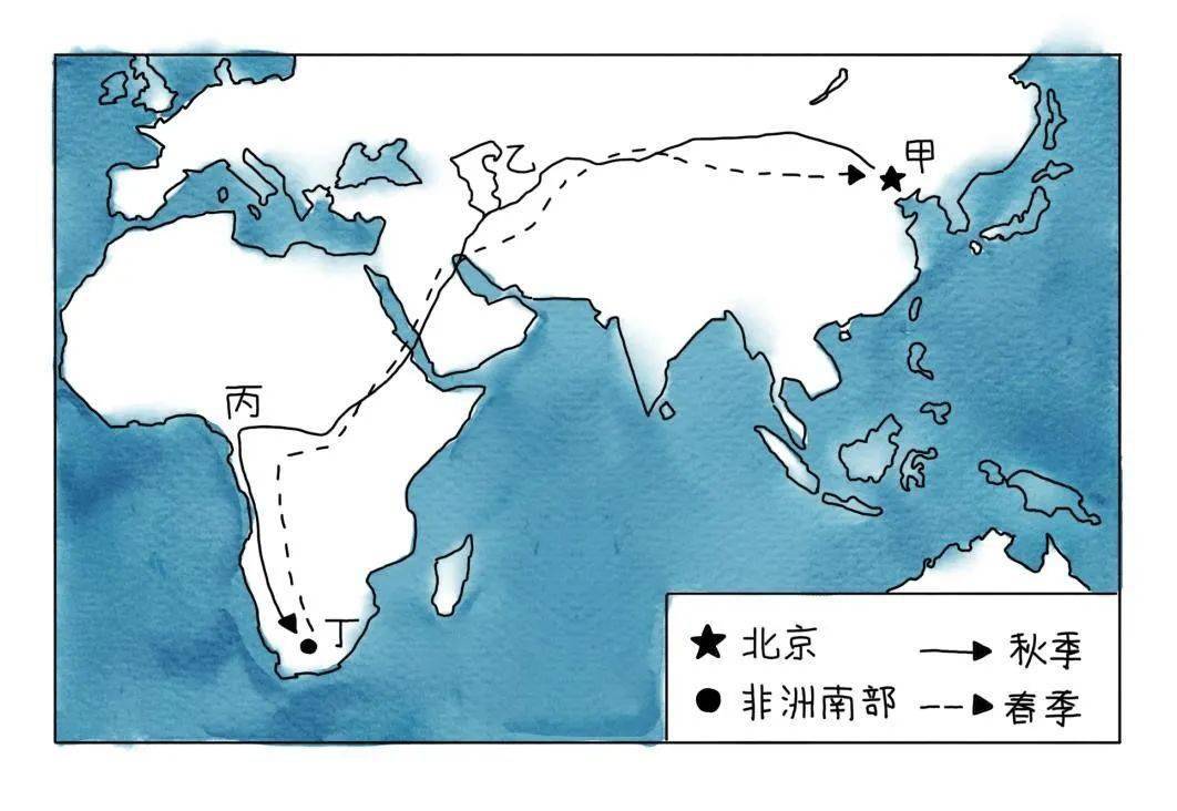 新还珠格格复楚国羽燕图片