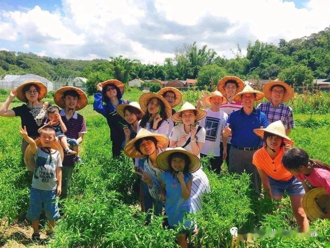 谈再红:乡村休闲旅游的经验与教训_农业_特色_村落