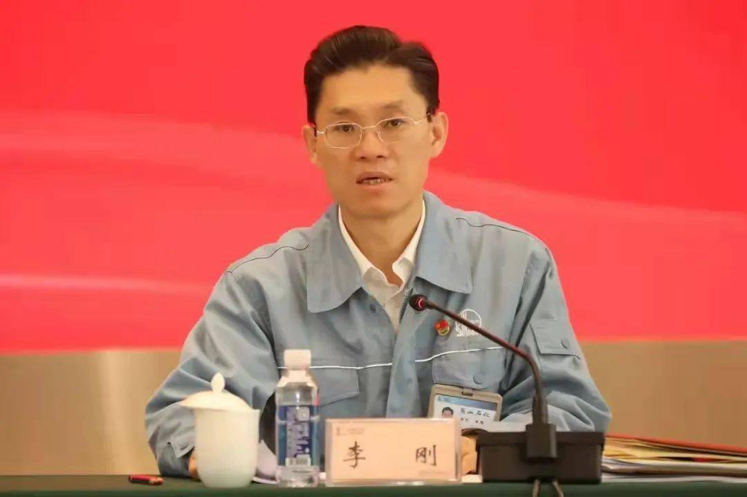 公司董事长,党委书记,分公司代表李刚出席会议并讲话,公司总经理王哲