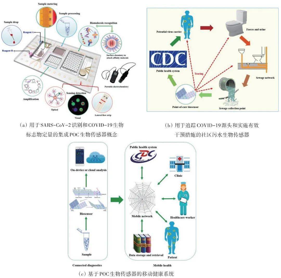 早期预警动态监测评估干预污水流行病学这样参与抗疫