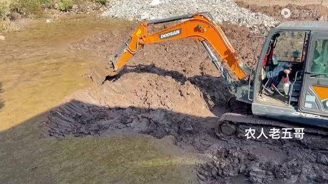 荒废十多年的老鱼塘用挖机清理泥巴大叔挖开淤泥真的是惊喜呀