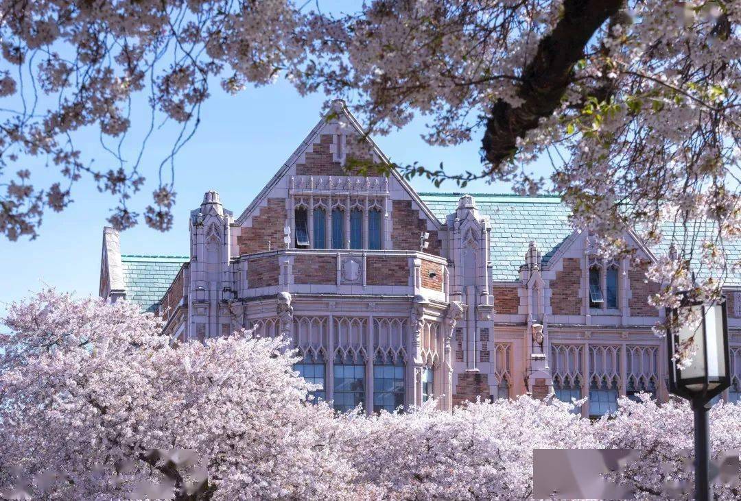 2026届huskies看过来你离华大还差一份新生群