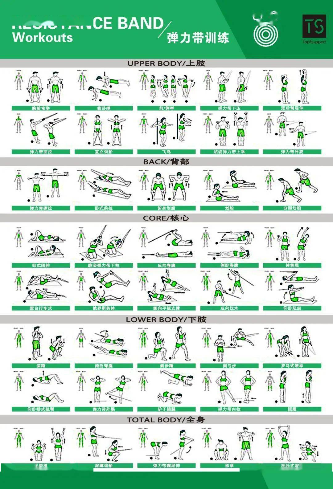 體能訓練動作庫圖解大全