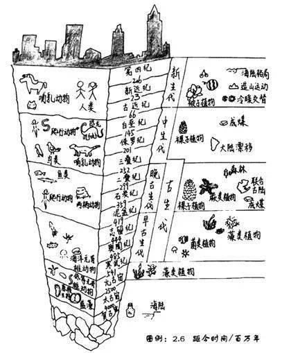 为什么说地质年代划分是冷知识中的热门考点