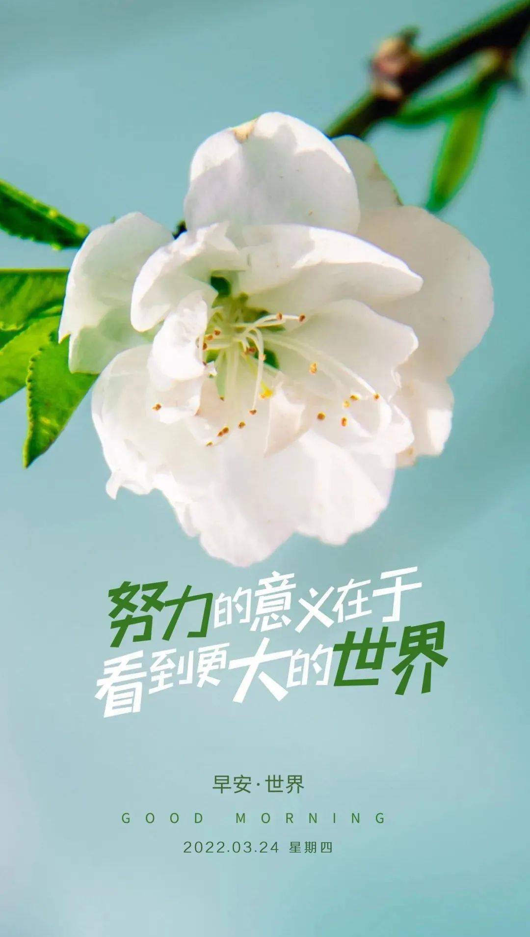 24日早上好正能量問候語溫馨文字句子新的一天開始加油正能量句子說說