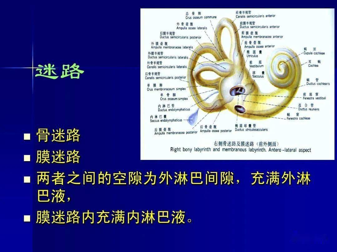 科普知識一文了解良性陣發性位置性眩暈耳石症診斷