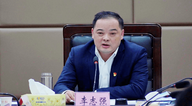 李志强:一切围绕项目转 时刻盯着项目看 推进桂阳高质量发展_工作